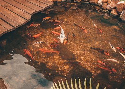 Jaracatiá Doce & Arte | Doce Jaracatiá